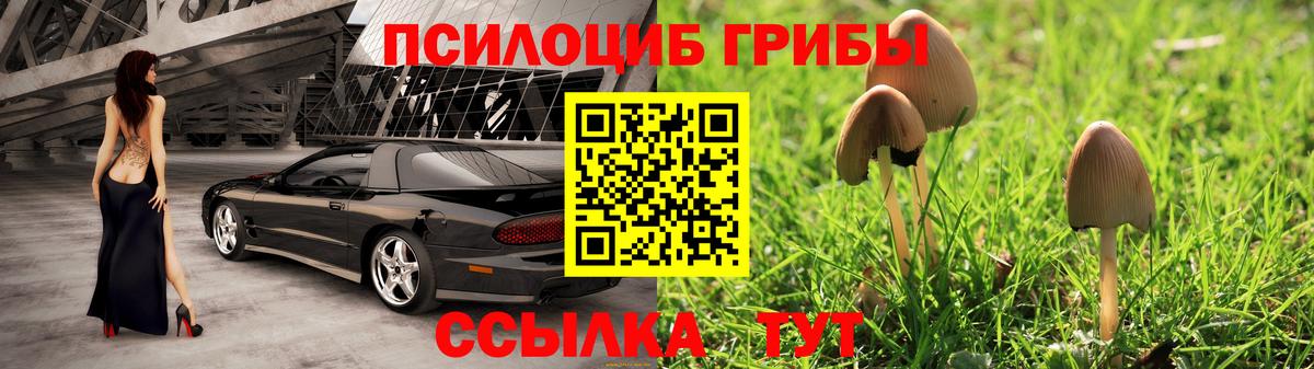 Воскресенск  Псилоцибиновые грибы Psilocybe  Вход с VPN 